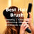 Best Hair Brush: Detangling, Smoothing, Volumizing, and Blow-Dry Picks