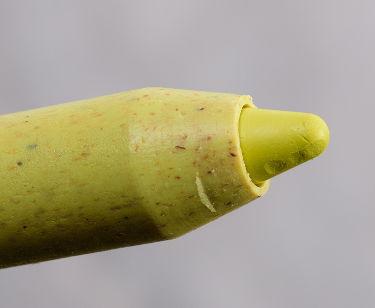 Haus Labs Beige, Chartreuse, Olive Optic Intensity Eyeliners Reviews & Swatches Haus Labs Beige, Chartreuse, Olive Optic Intensity Eyeliners Reviews & Swatches