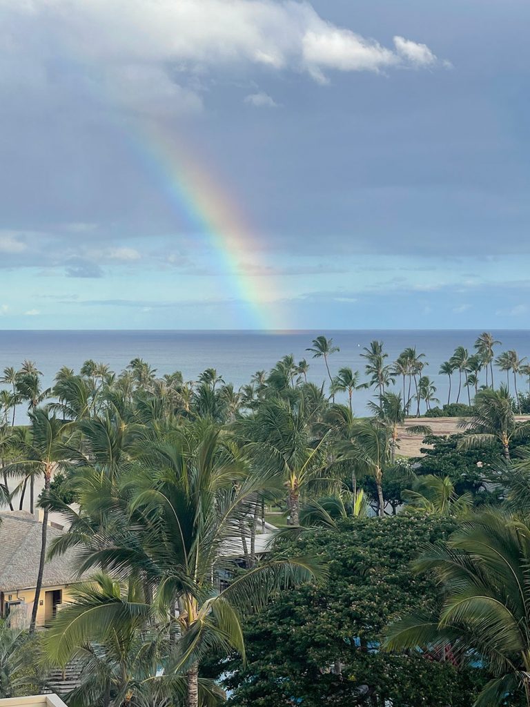 Foodland, a Hidden Hawaii Gem for Gifts and Souvenirs Foodland, a Hidden Hawaii Gem for Gifts and Souvenirs