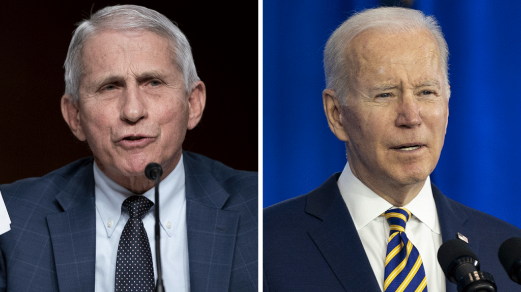 GOP plots Fauci probe after midterms GOP plots Fauci probe after midterms