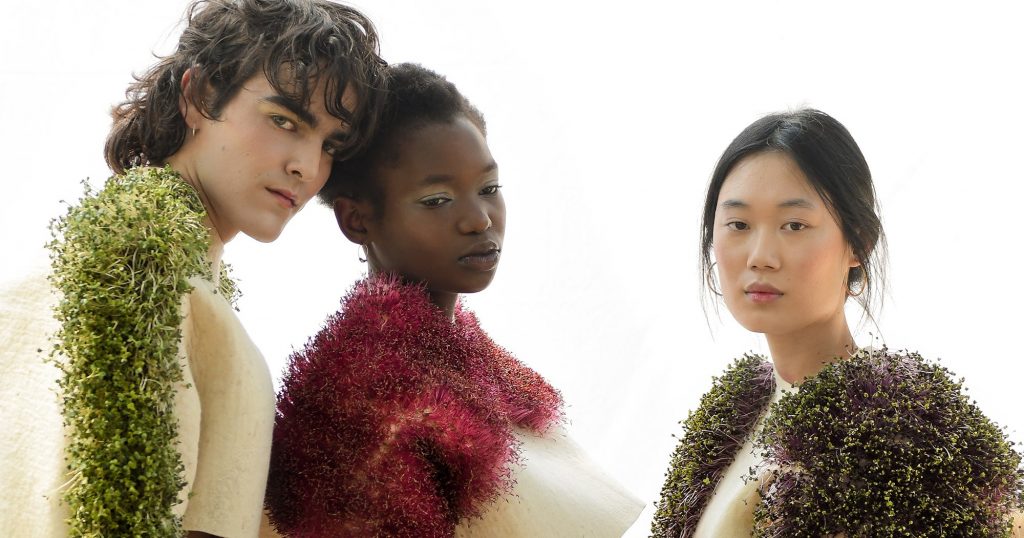Meet The Loewe-Approved Bio-Designer Growing Plants From Clothes Meet The Loewe-Approved Bio-Designer Growing Plants From Clothes