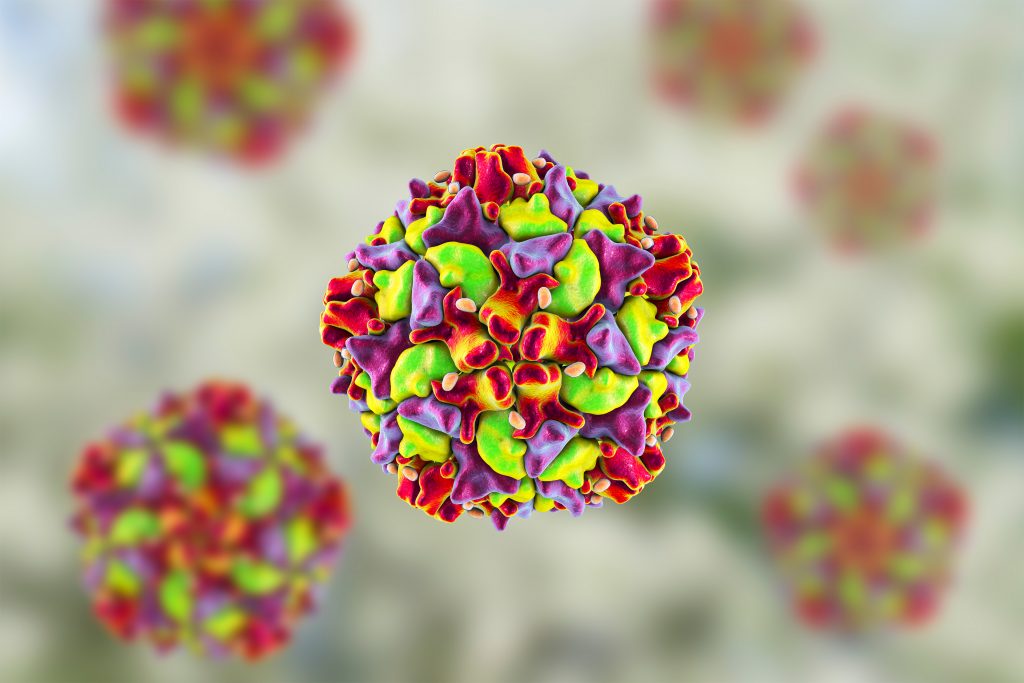 Qué significa el caso de Nueva York para el fin de la polio Qué significa el caso de Nueva York para el fin de la polio