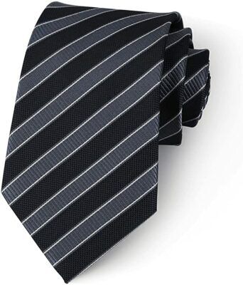 Eneston Silk & Microfiber Tie
