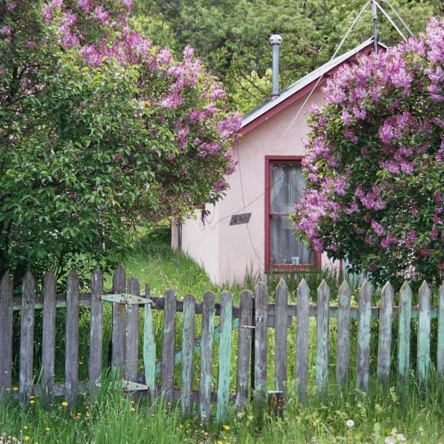 cottage core 83343926 2518856891694131 5549634376946934274 n The Cottagecore Aesthetic: Outfits for the Countryside Appeal