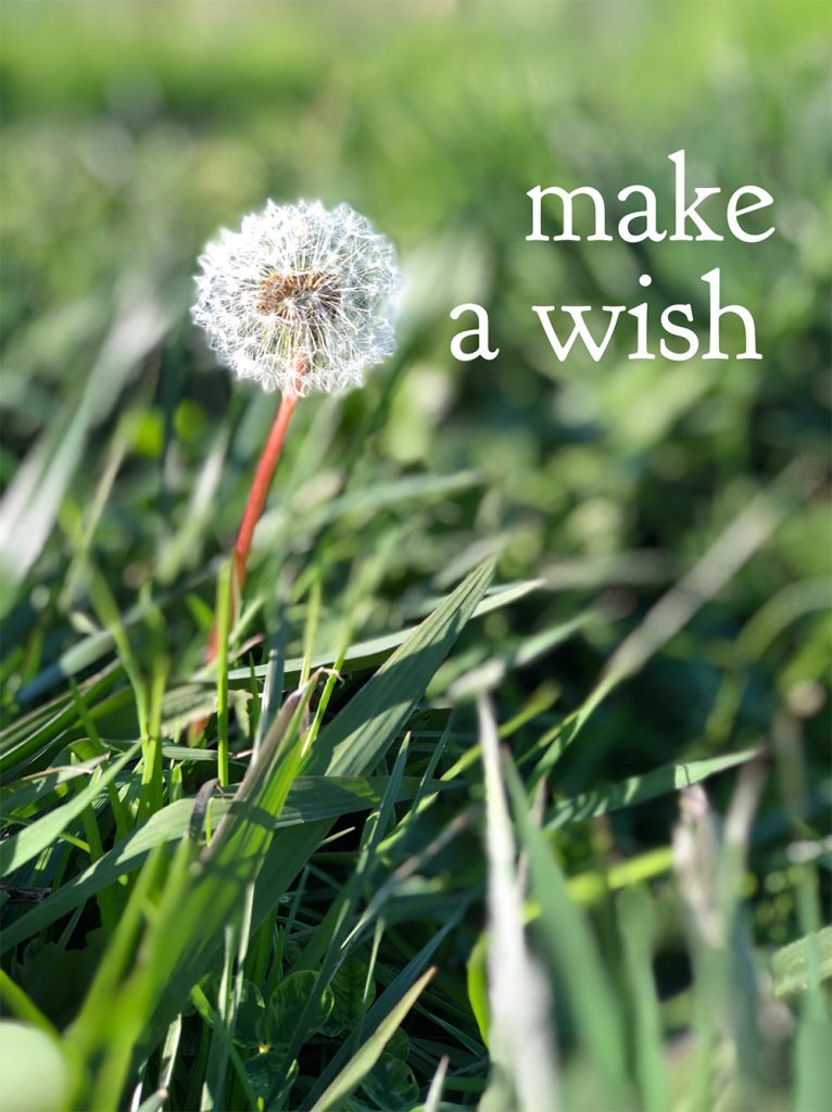 Checking In: Current Beauty Wish List, Spa Day Shenanigans, Thoughts on Back to School Checking In: Current Beauty Wish List, Spa Day Shenanigans, Thoughts on Back to School
