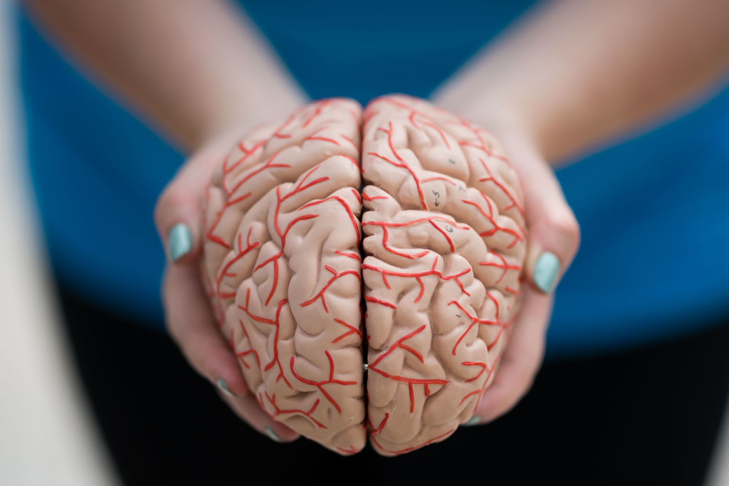 Merck turns to biotech Cerevance to feed neuro pipeline with Alzheimer’s drugs – MedCity News Merck turns to biotech Cerevance to feed neuro pipeline with Alzheimer’s drugs – MedCity News