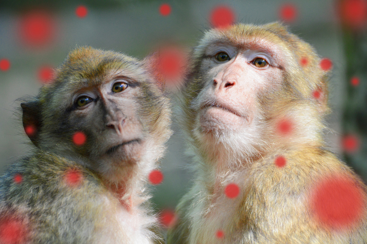 Worried about long Covid? Support primate research – MedCity News Worried about long Covid? Support primate research – MedCity News